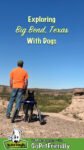 Exploring Big Bend National Park In Texas With Dogs