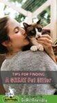 Tips For Finding A Great Pet Sitter