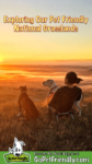 Exploring America’s National Grasslands With Dogs