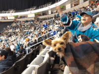Dog Friendly Hockey Games – 2023 / 2024 Season