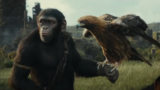 A New World of Apes
