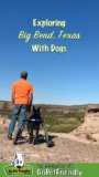 Exploring Big Bend National Park In Texas With Dogs